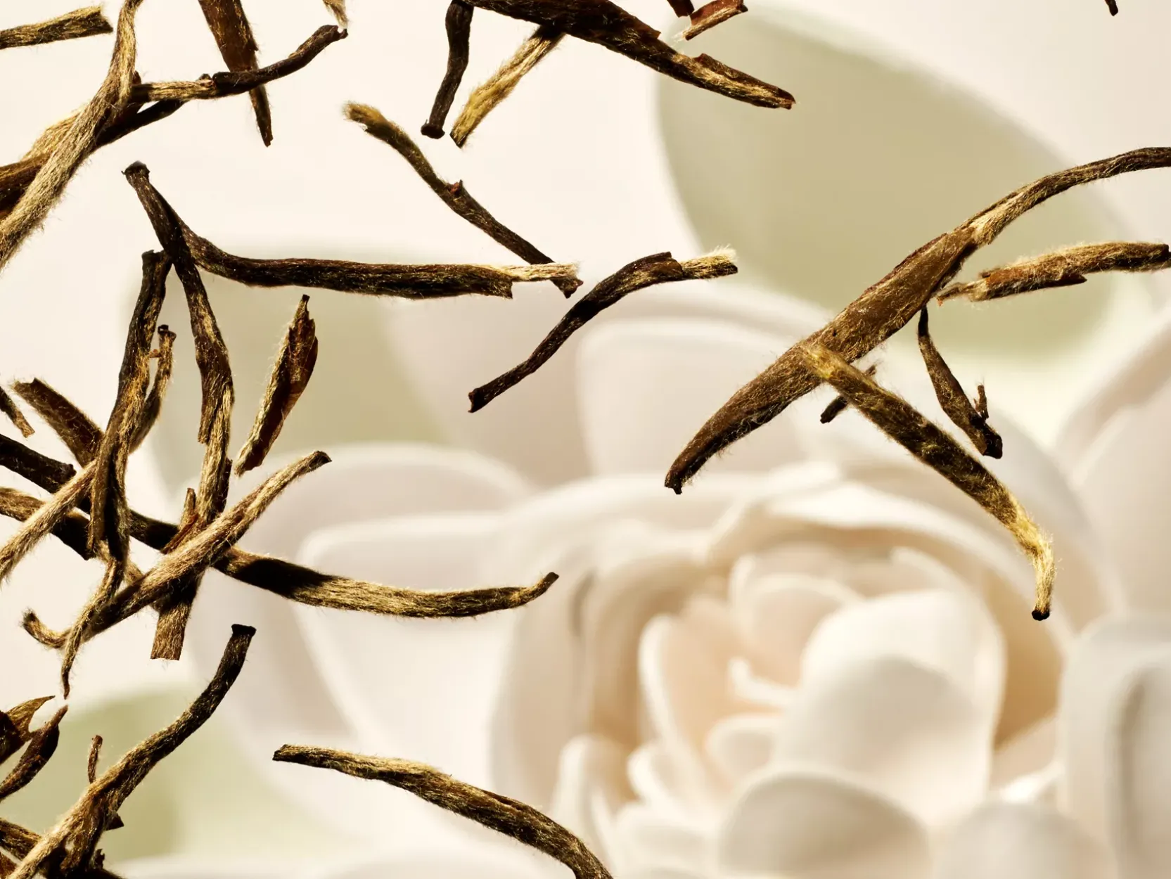 Car Air Freshener | Rituals Cheap