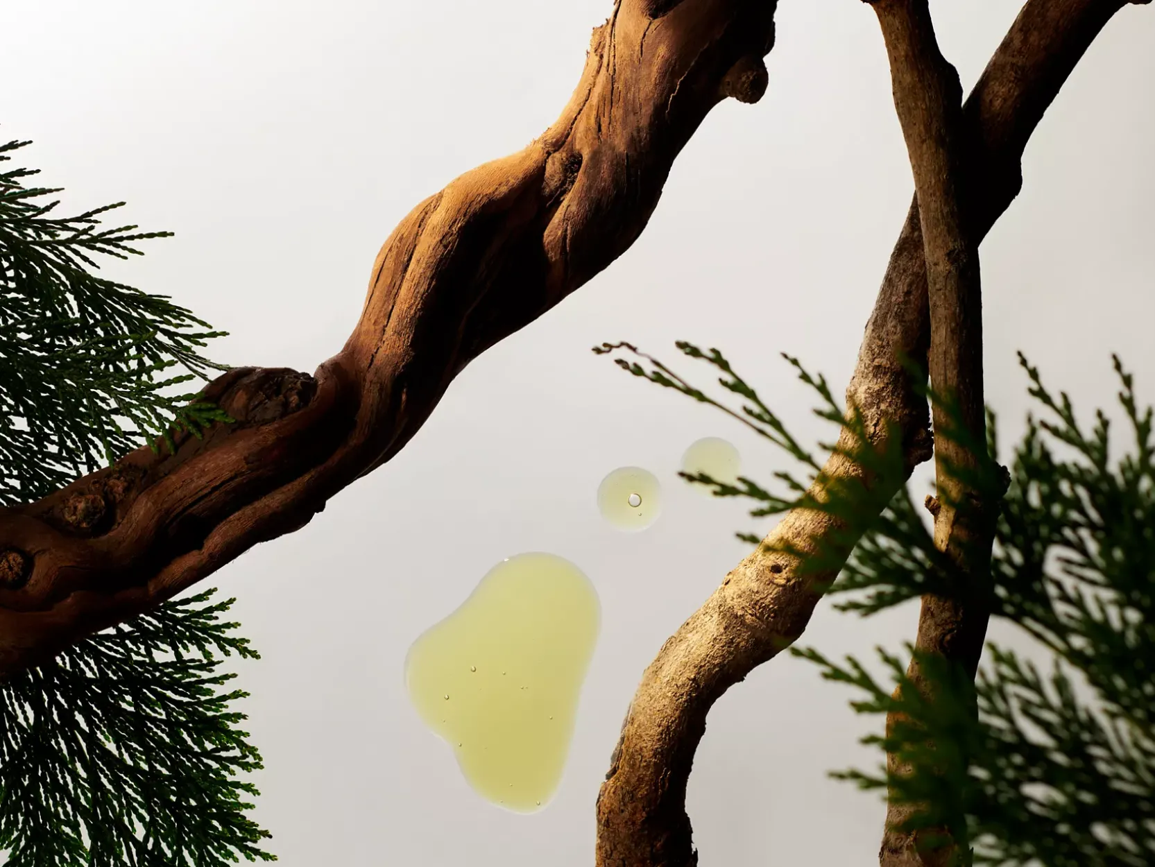 Car Air Freshener Refill | Rituals Clearance