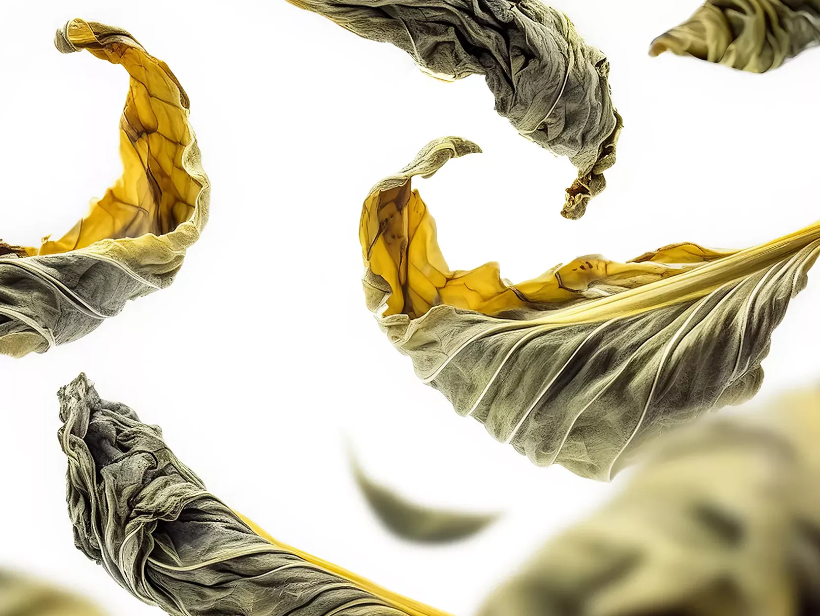 Royal Tea Refill Fragrance Sticks | Rituals Discount