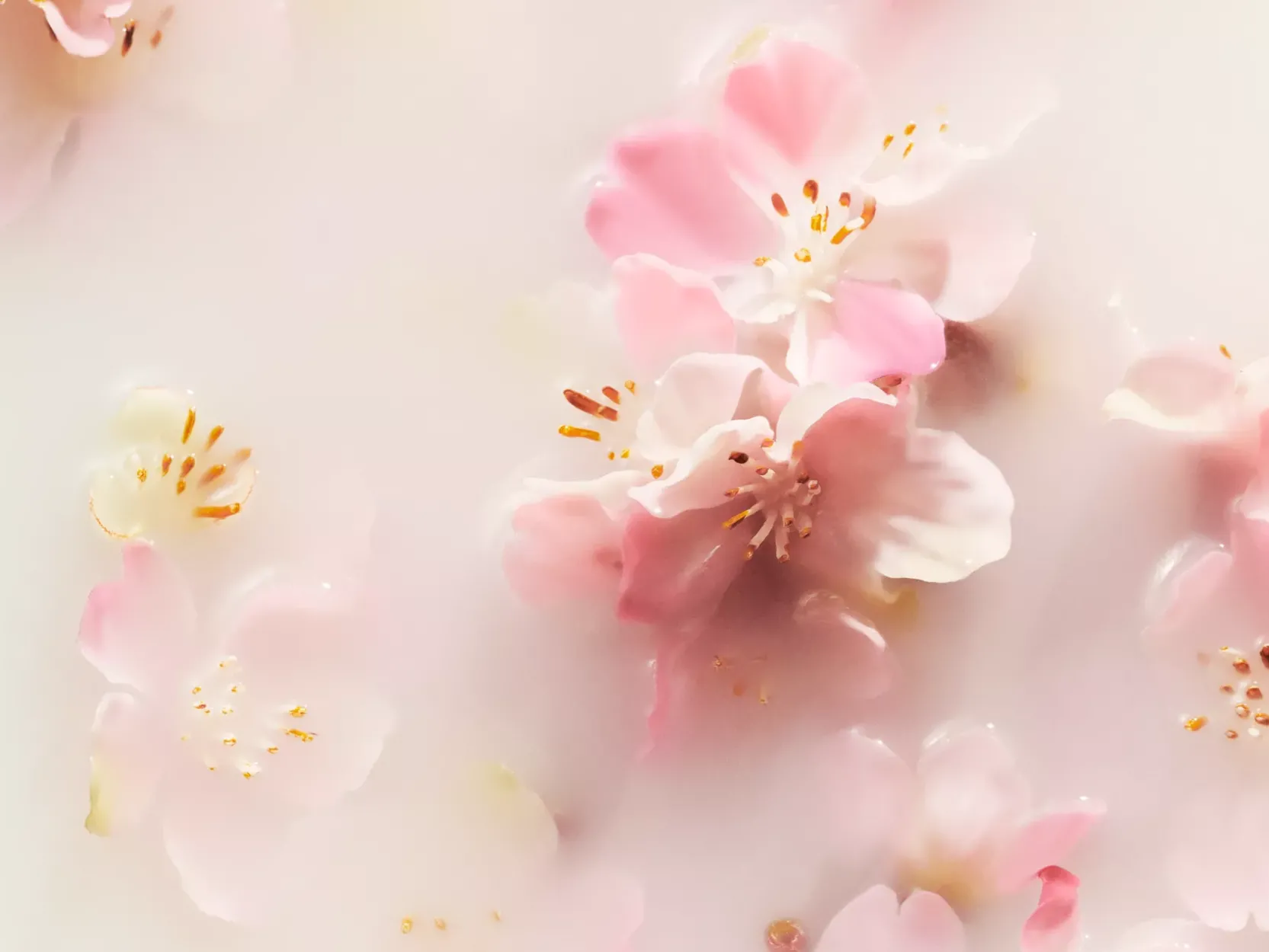 Scented Candle | Rituals Sale