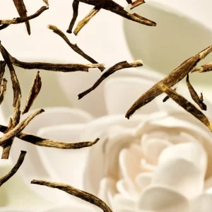 Cartridge | Rituals Clearance